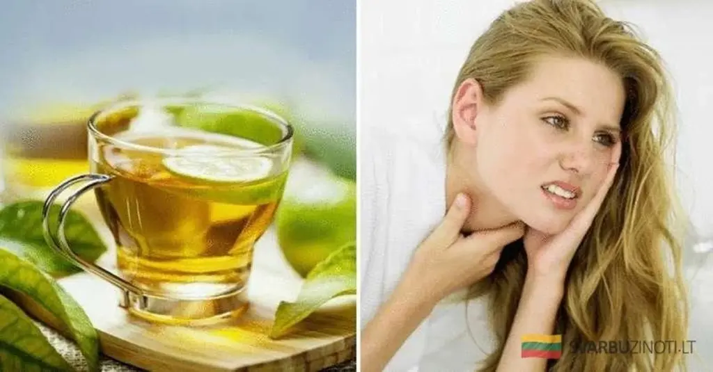 5 Ziół, Które Uratują Twoje Gardło: Szybka Ulga w Bólu, Kaszlu i Stanach Zapalnych