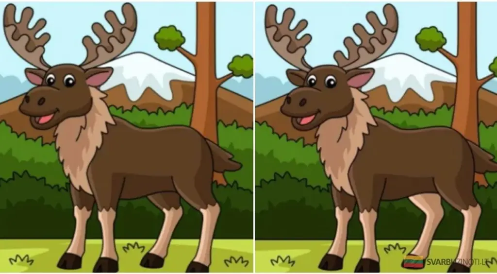 Na ile spostrzegawczy jesteś? Znajdź 3 różnice w 20 sekund