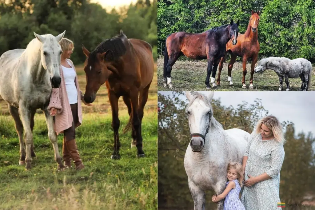 Pożar stajni w Pakaunėje: założycielka, samotna matka, straciła dach nad głową