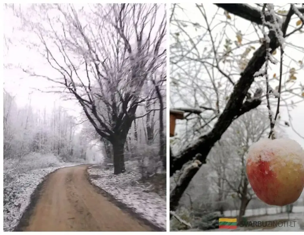 Sztuczka z folią aluminiową: Jak zapobiec zamarzaniu rur w domu? To zaskoczy nawet ciebie!