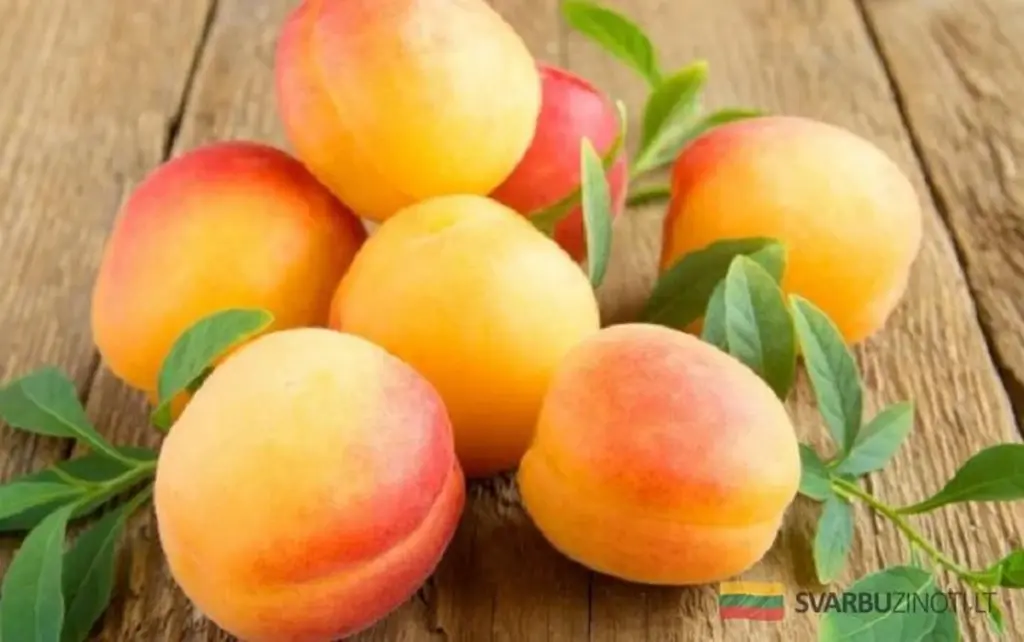 Ten owoc, który chroni przed udarem. Lekarze polecają go zamiast bananów.