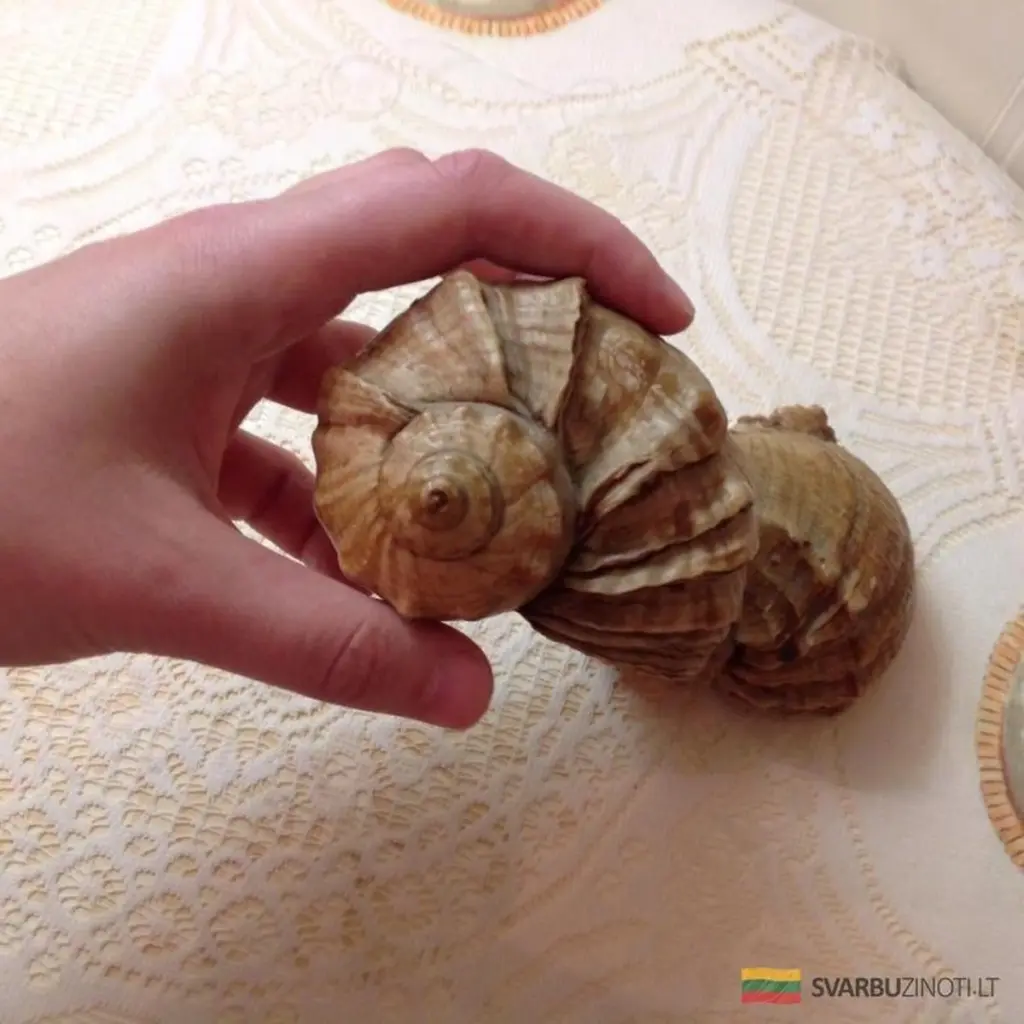 3 rzeczy w domu, które wysysają kobiecą energię finansową i atrakcyjność