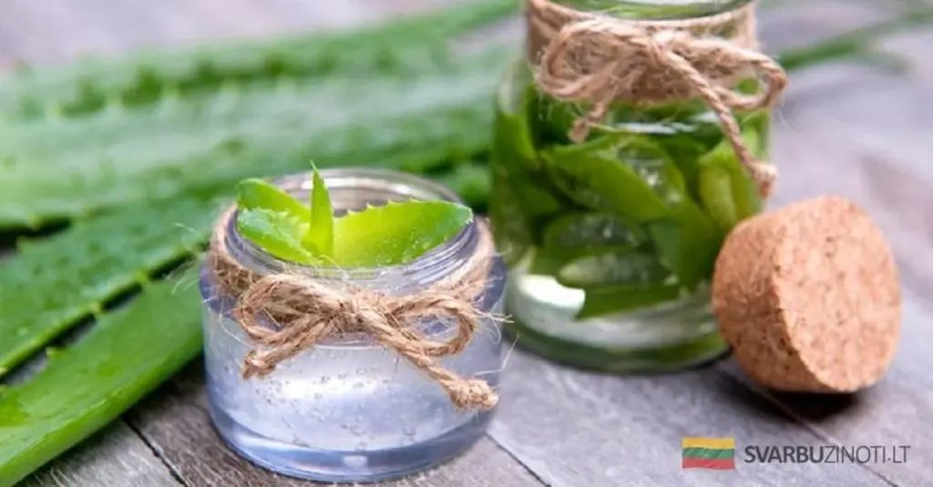 Alawijo — cudowne lekarstwo na problemy z cerą, o którym gros osób zapomina