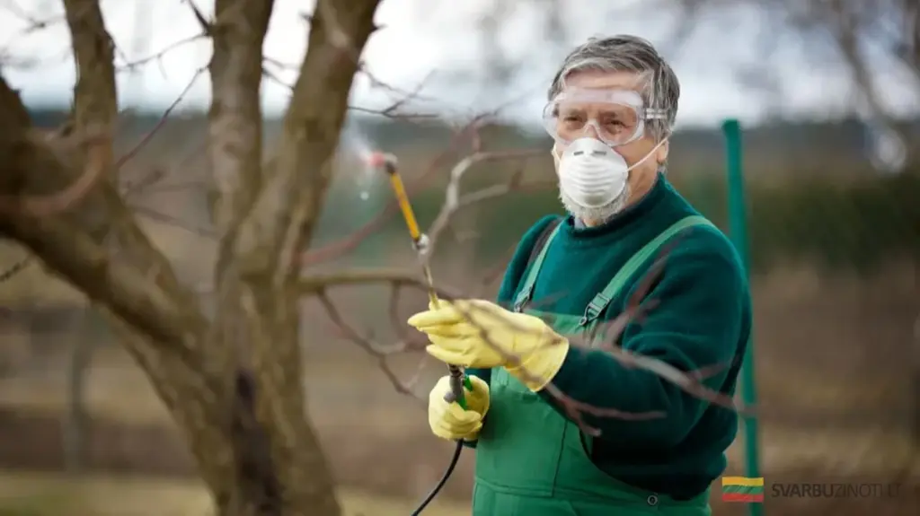Dlaczego pierwszy oprysk jabłoni na wiosnę to klucz do zdrowego sadu i obfitych zbiorów