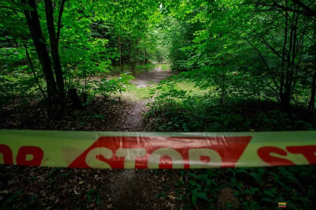 Kleboniškio miškas saugo paslaptis: rastas ginklų lobis pribloškia