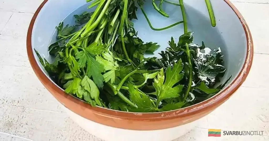 Koperek na miesiąc w słoiku: kucharze zdradzają sekret świeżości, której zazdrości kuchnia sąsiada.