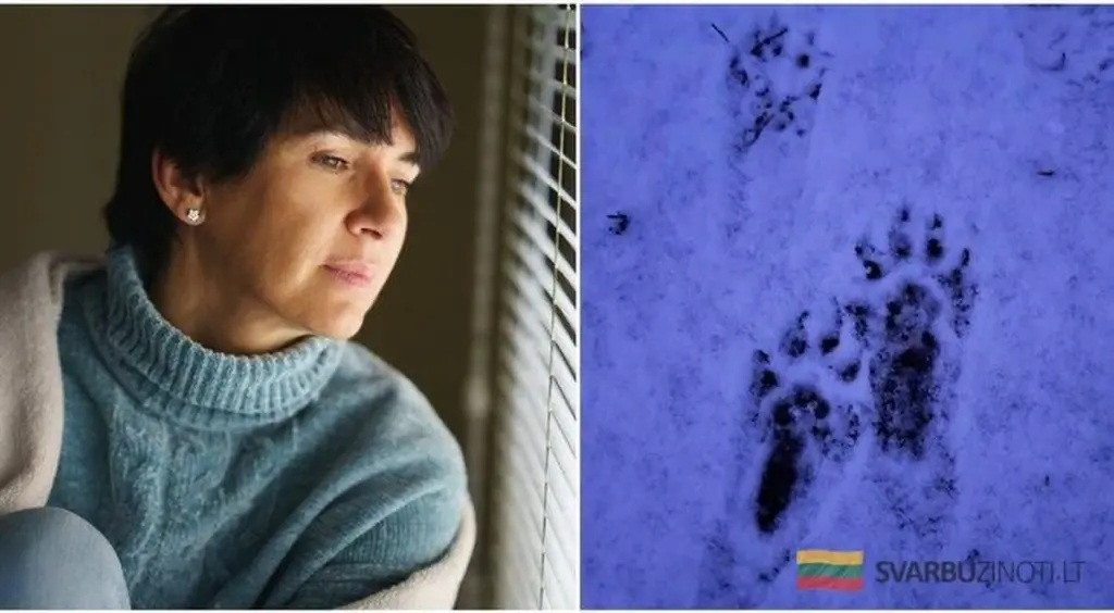 Kto zostawił te tropy w śniegu pod domem? Mieszkańcy byli zdumieni, gdy dowiedzieli się prawdy