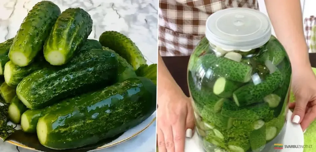 Przepis na chrupiące i pikantne ogórki konserwowe. Doskonała przekąska na każdą okazję