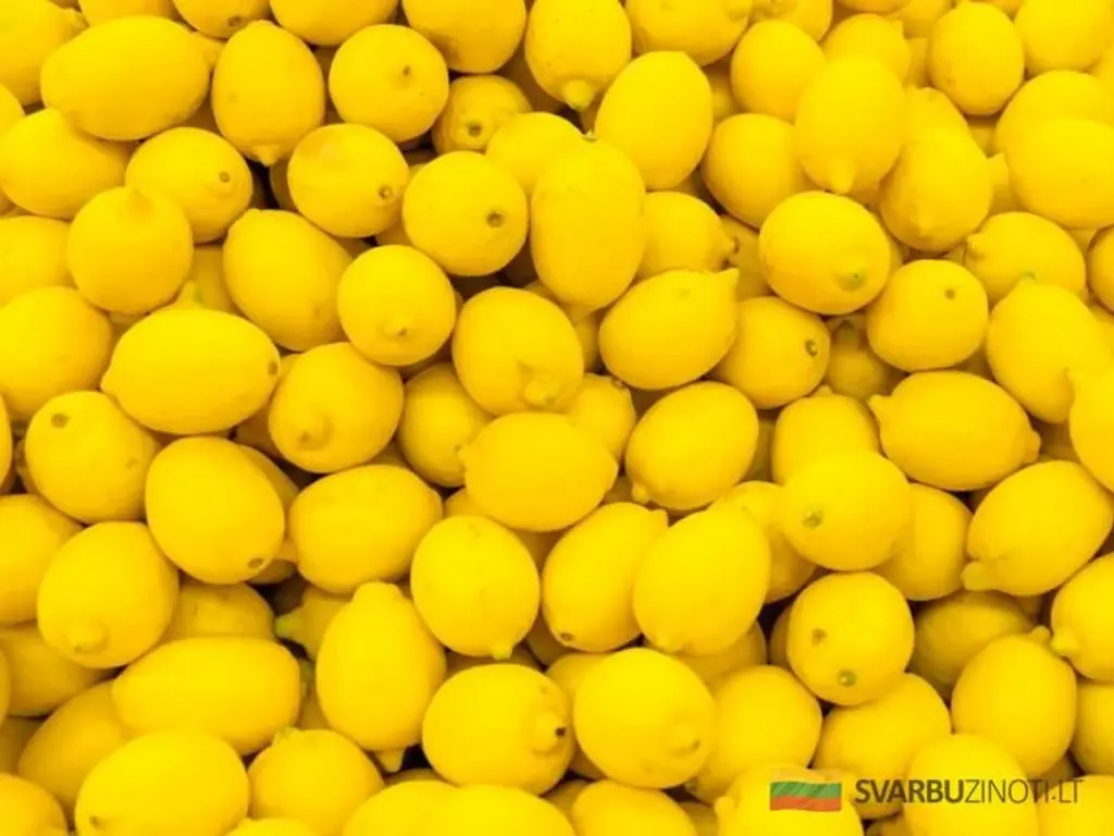 Skandal w medycynie: Dlaczego cytryna pokonuje chemioterapię 10 000 razy, a nikt o tym nie mówi?