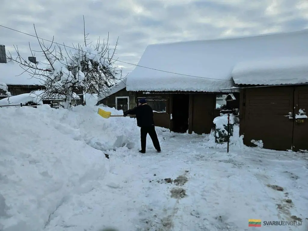 Snieg w kraju: ryzykanci czy szczęściarze? Rolnicy analizują prognozy dla upraw