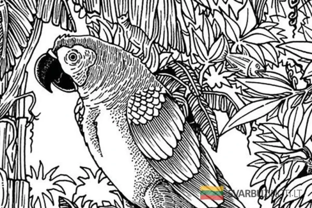 Test z Brazylii: czy masz powody do niepokoju o demencję? Sprawdź w 1 minutę!