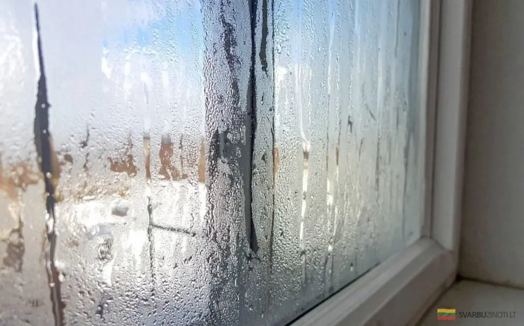 Wilgoć w domu nie musi być problemem: skuteczne sposoby na nadmiar wilgoci