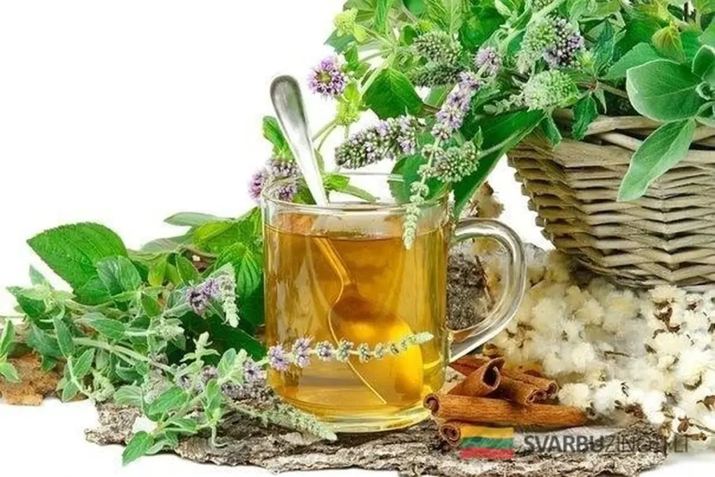 Ziołowe sekrety na kaszel: Proste przepisy babci, które naprawdę działają