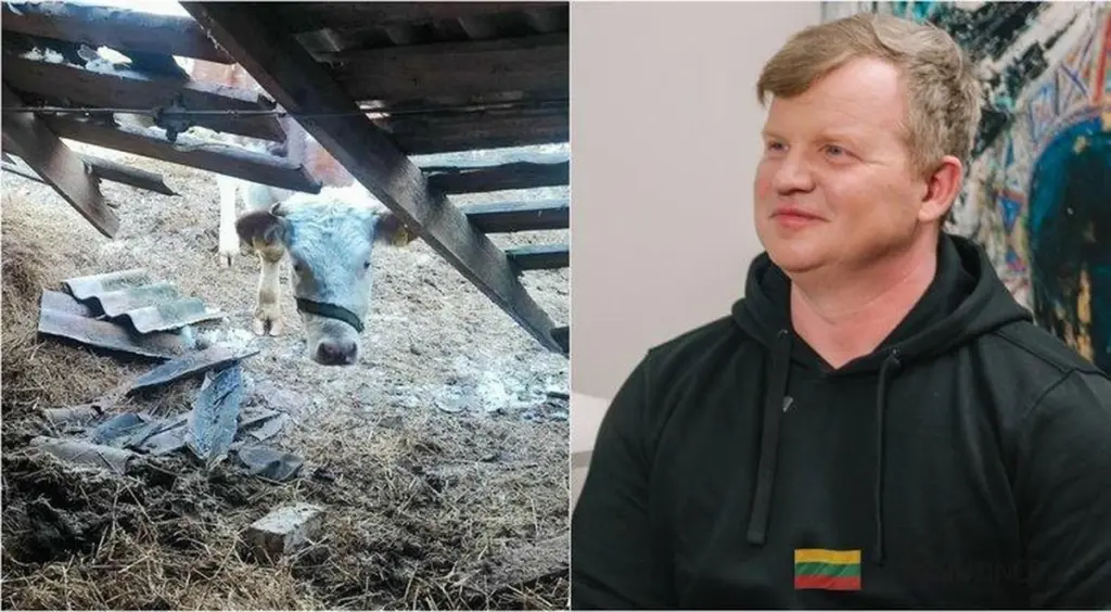Gospodarstwo znanego litewskiego piosenkarza: makabryczny widok w oborze znaleziono martwe krowy