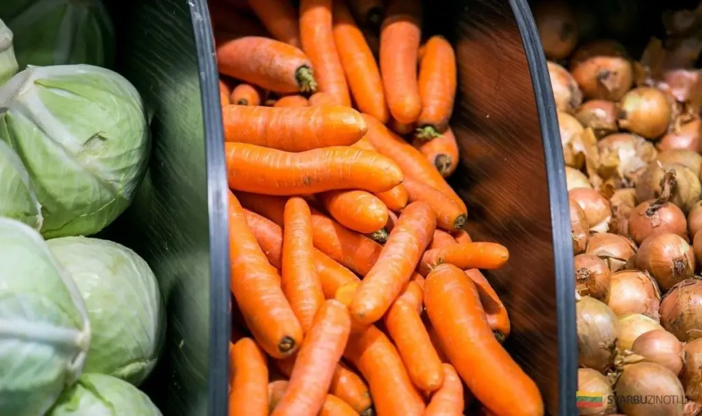 Najlepsze odmiany warzyw 2026: co polecają ogrodnicy i agronomi