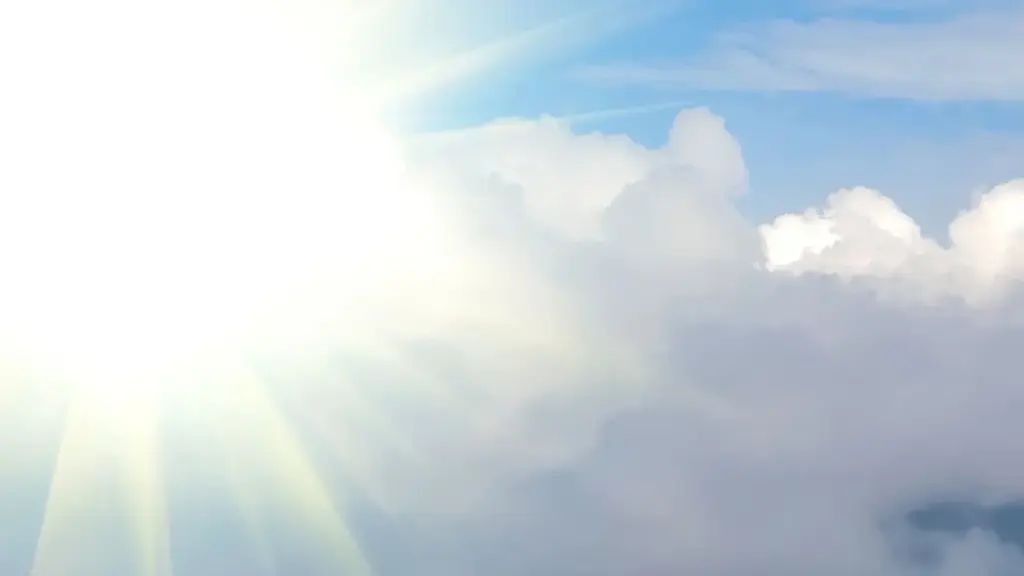 Polsza wiosna prognozuje lato. Proste sztuczki z natury, których nie zauważasz