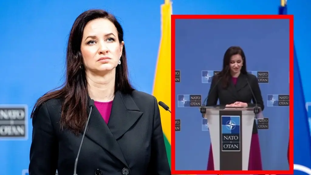 Premier Inga Ruginienė mówi po angielsku – szokujące reakcje komentujących i twarda odpowiedź doradcy