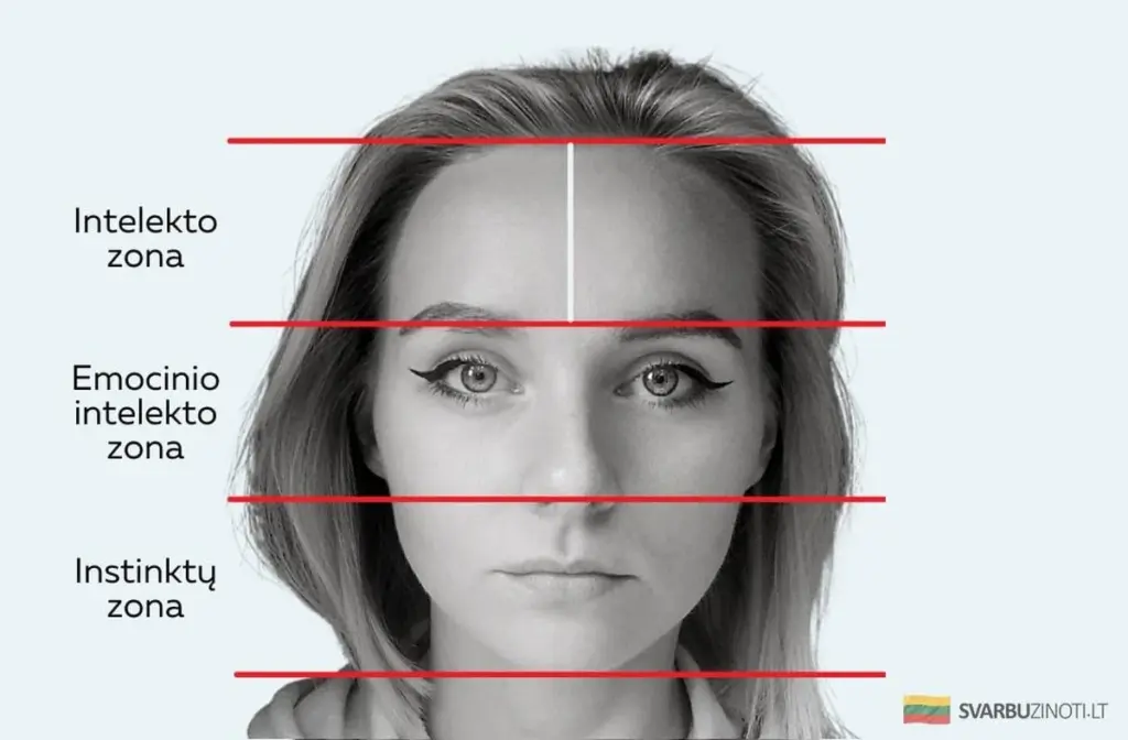 Sekrety fizjonomii: co rysy twarzy mogą zdradzić o znanych osobach?
