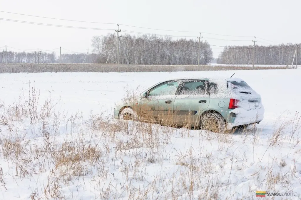 Trzech zaklinających się mężczyzn wyszło z zarośli i zrobiło coś, co wprawiło ludzi w osłupienie
